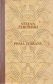 Sułkowski. „Ponad śnieg bielszym się stanę