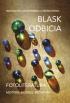 Blask odbicia. Fotoliteratura. Motywy, modele, metafory